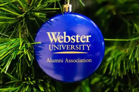 bachelor arts interdisciplinary studies Webster